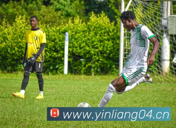 App Interface Preview